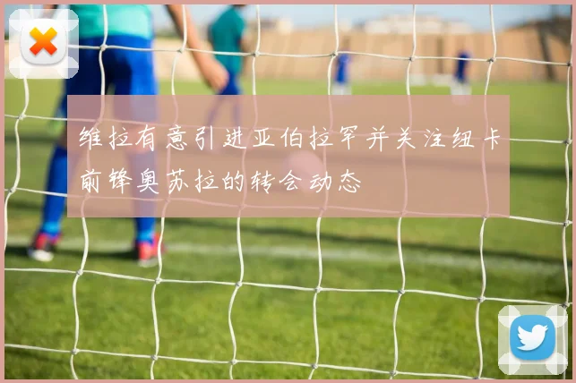 维拉有意引进亚伯拉罕并关注纽卡前锋奥苏拉的转会动态