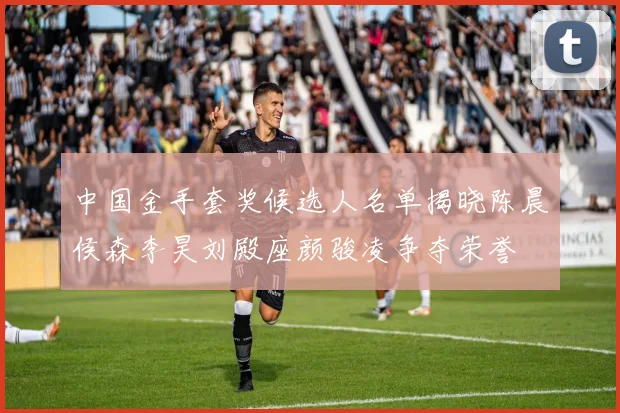 中国金手套奖候选人名单揭晓陈晨侯森李昊刘殿座颜骏凌争夺荣誉